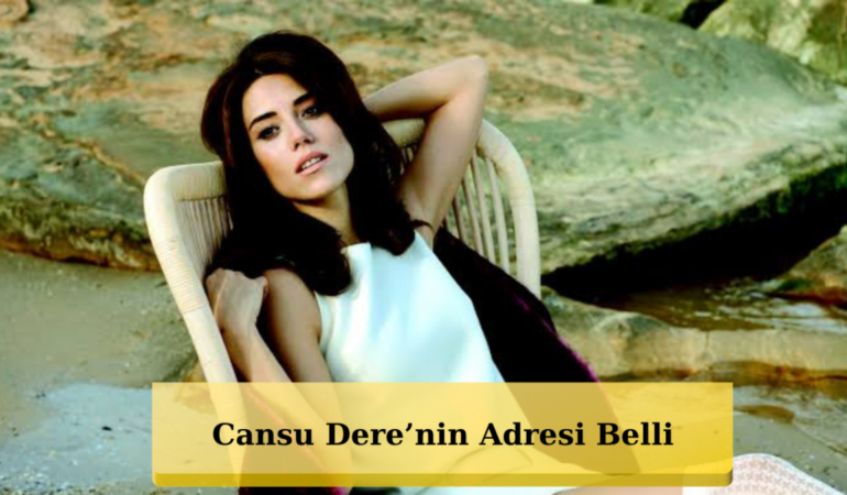 Cansu Dere Ekranlara Dönüyor! Yeni Projesi Belli Oldu